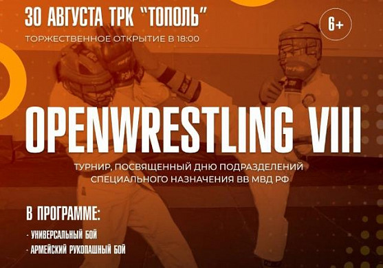 В Иванове пройдёт VIII турнир серии OPENWRESTLING (6+)